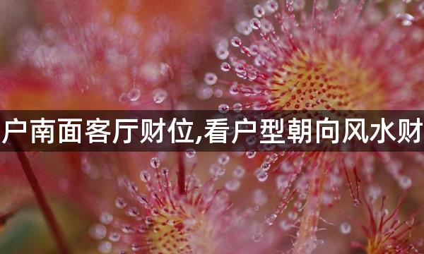 西户南面客厅财位,看户型朝向风水财位