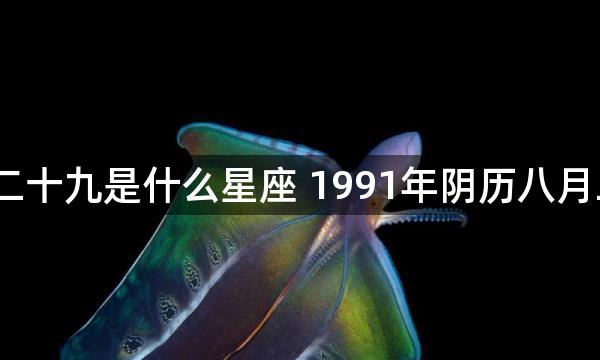 1991年农历八月二十九是什么星座 1991年阴历八月二十九是什么星座