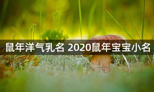 鼠年洋气乳名 2020鼠年宝宝小名