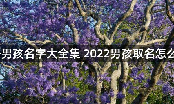 2022楚辞男孩名字大全集 2022男孩取名怎么用楚辞取