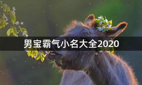 男宝霸气小名大全2020