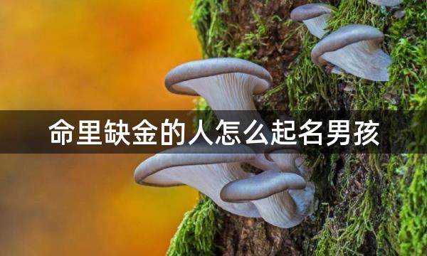 命里缺金的人怎么起名男孩