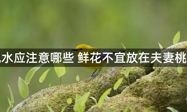 夫妻風水应注意哪些 鲜花不宜放在夫妻桃花位上