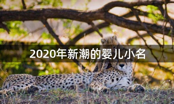 2020年新潮的婴儿小名，水果、动物齐上阵