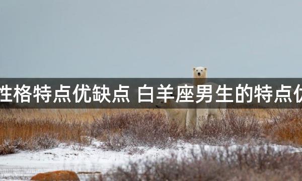 白羊座男生性格特点优缺点 白羊座男生的特点优缺点是什么