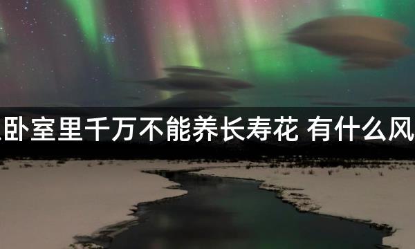 为什么卧室里千万不能养长寿花 有什么风水寓意