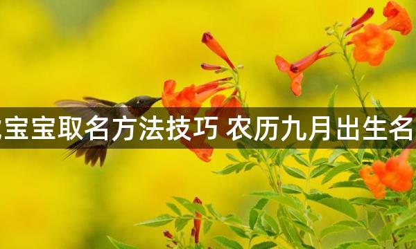 虎宝宝取名方法技巧 农历九月出生名字