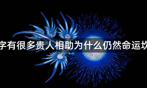 八字有很多贵人相助为什么仍然命运坎坷