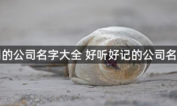 最吉利的公司名字大全 好听好记的公司名字免费