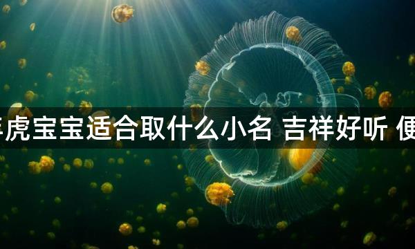 2022年虎宝宝适合取什么小名 吉祥好听 便于记忆