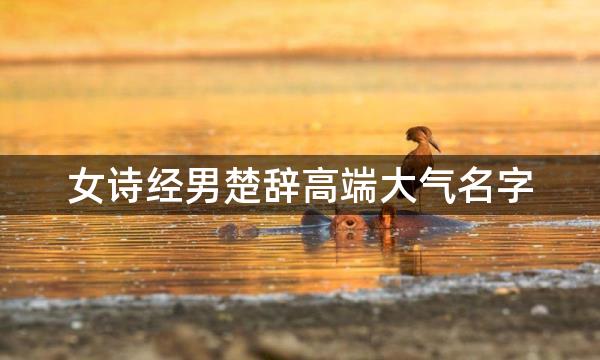 女诗经男楚辞高端大气名字