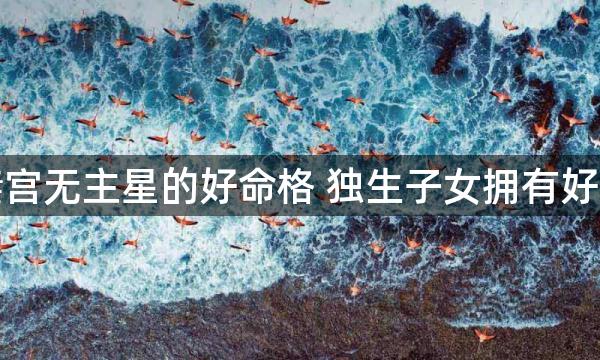 夫妻宫无主星的好命格 独生子女拥有好运势