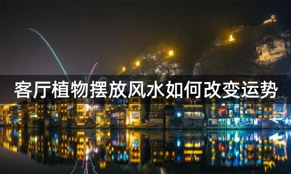 客厅植物摆放风水如何改变运势