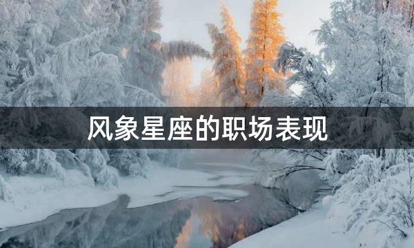 风象星座的职场表现