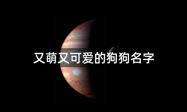 又萌又可爱的狗狗名字