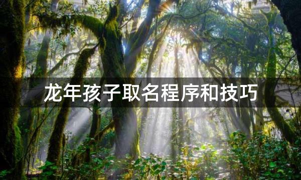 龙年孩子取名程序和技巧