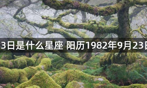 1982年9月23日是什么星座 阳历1982年9月23日是哪个星座