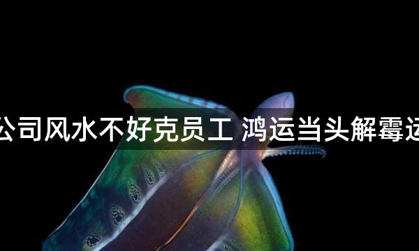 公司风水不好克员工 鸿运当头解霉运