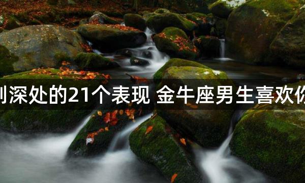 金牛男爱你到深处的21个表现 金牛座男生喜欢你的21个表现