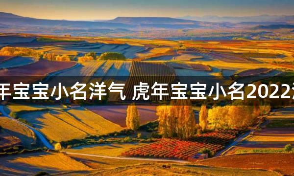 2022虎年宝宝小名洋气 虎年宝宝小名2022洋气分享