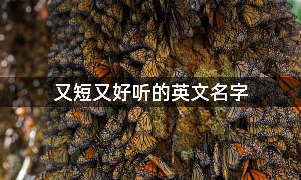 又短又好听的英文名字