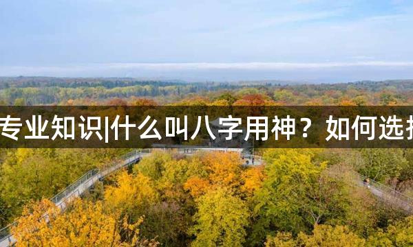 奇门遁甲术专业知识|什么叫八字用神？如何选择八字用神？