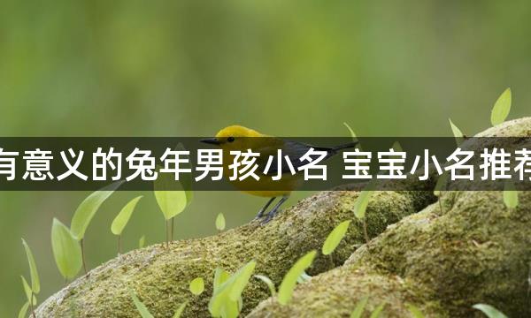 有意义的兔年男孩小名 宝宝小名推荐