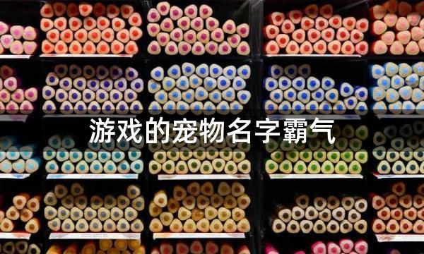 游戏的宠物名字霸气