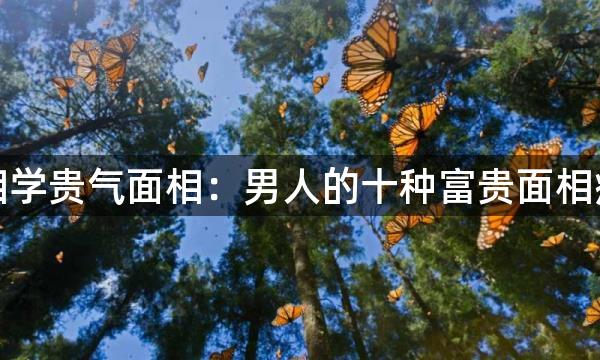 相学贵气面相：男人的十种富贵面相痣