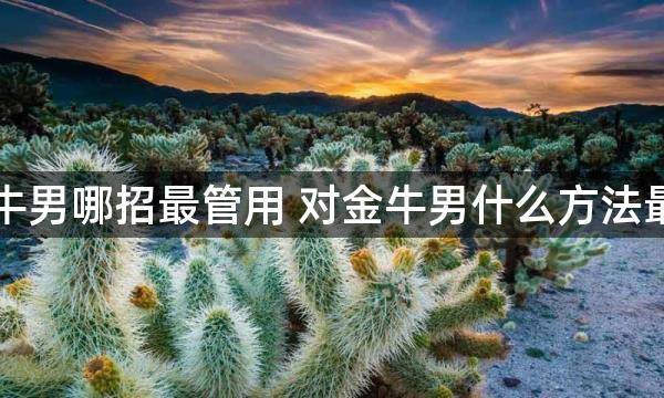 对金牛男哪招最管用 对金牛男什么方法最管用