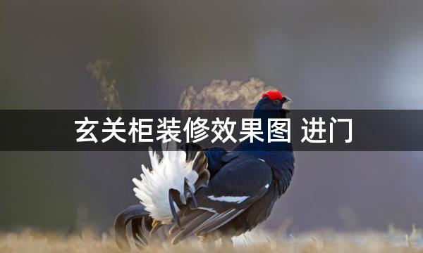 玄关柜装修效果图 进门