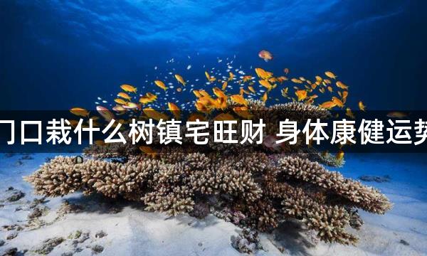 南方门口栽什么树镇宅旺财 身体康健运势亨通