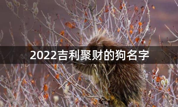 2022吉利聚财的狗名字