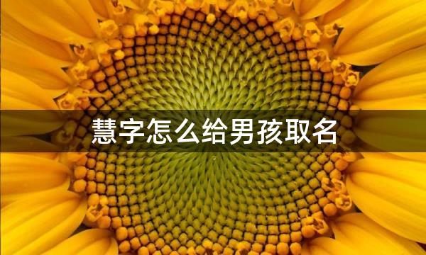 慧字怎么给男孩取名