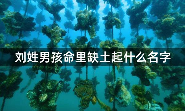 刘姓男孩命里缺土起什么名字