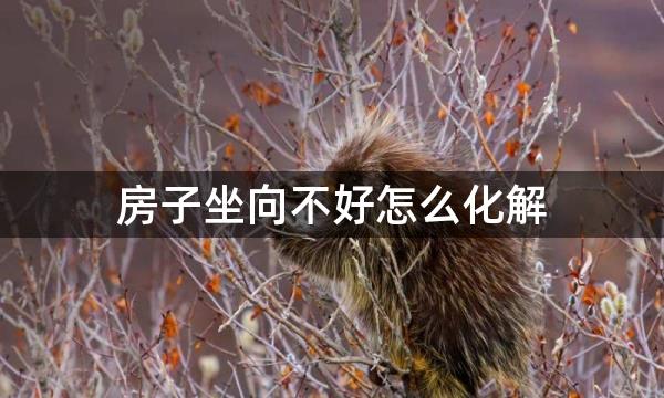 房子坐向不好怎么化解