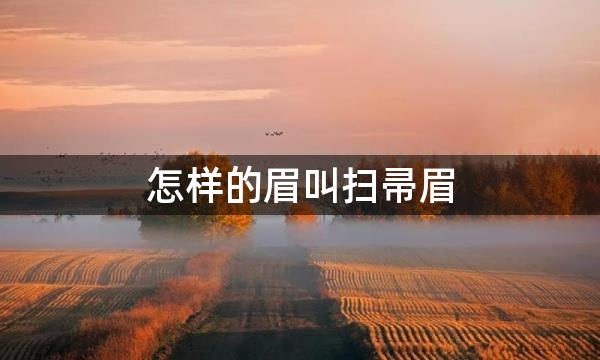 怎样的眉叫扫帚眉