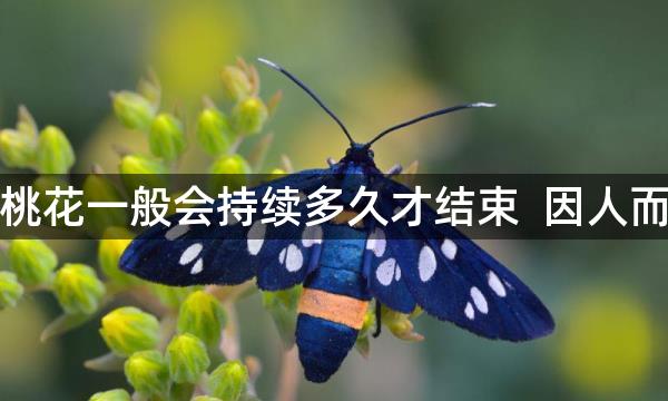 烂桃花一般会持续多久才结束  因人而异