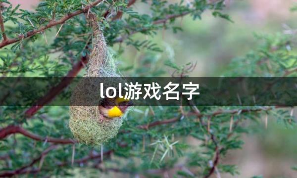 lol游戏名字，好听的lol名字大全