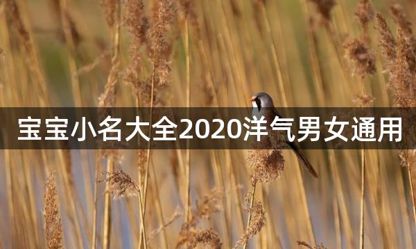 宝宝小名大全2020洋气男女通用