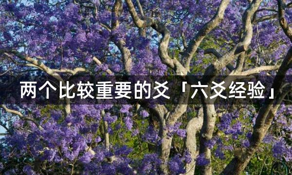 两个比较重要的爻「六爻经验」