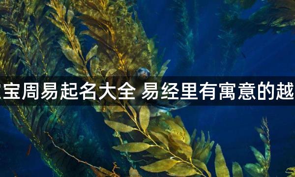 越姓宝宝周易起名大全 易经里有寓意的越姓名字