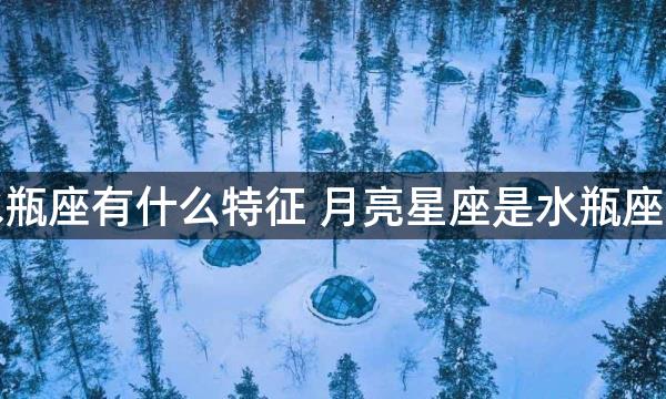 月亮星座水瓶座有什么特征 月亮星座是水瓶座的性格特质