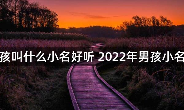 小男孩叫什么小名好听 2022年男孩小名推荐