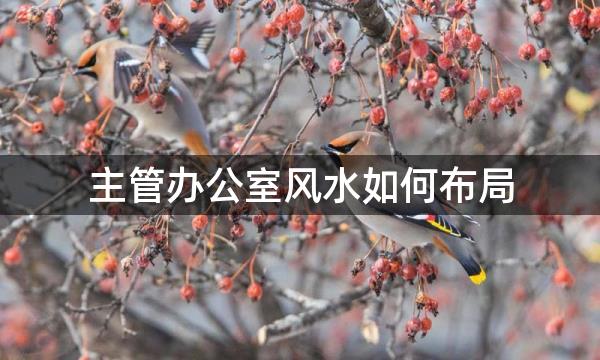 主管办公室风水如何布局