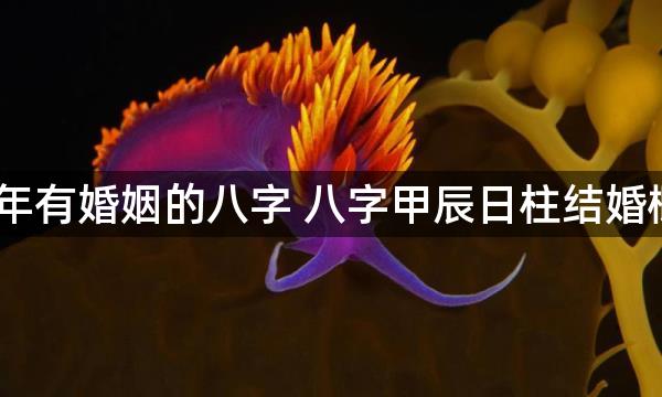 2023年有婚姻的八字 八字甲辰日柱结婚概率高