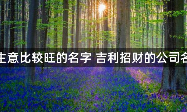 做生意比较旺的名字 吉利招财的公司名称