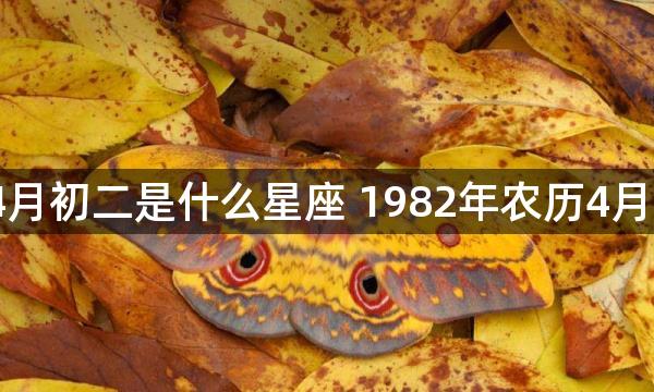 1982年农历4月初二是什么星座 1982年农历4月初二是啥星座