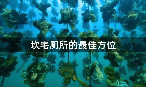 坎宅厕所的最佳方位