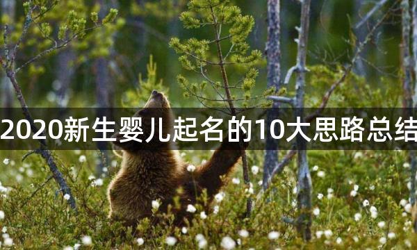 2020新生婴儿起名的10大思路总结